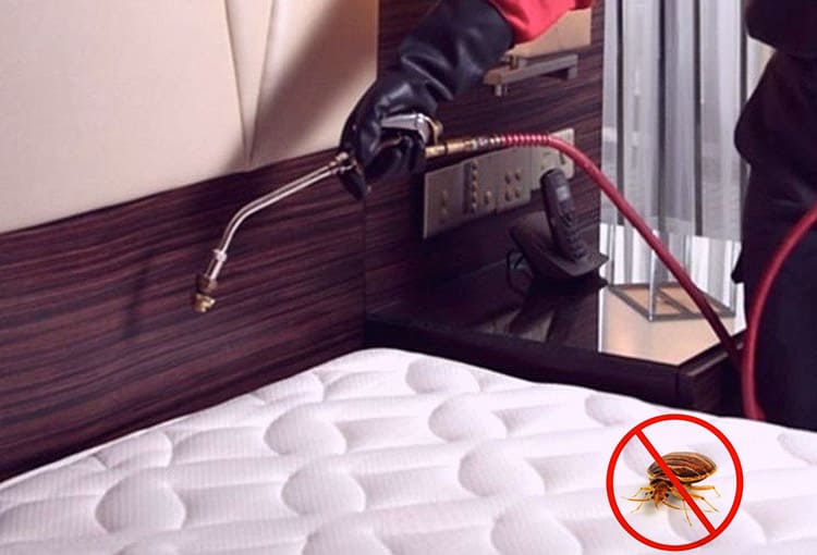 Bed Bugs Management services in Dombivali