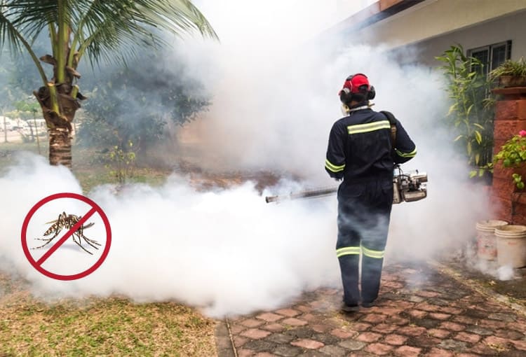 Mosquito  Management services in Dombivali